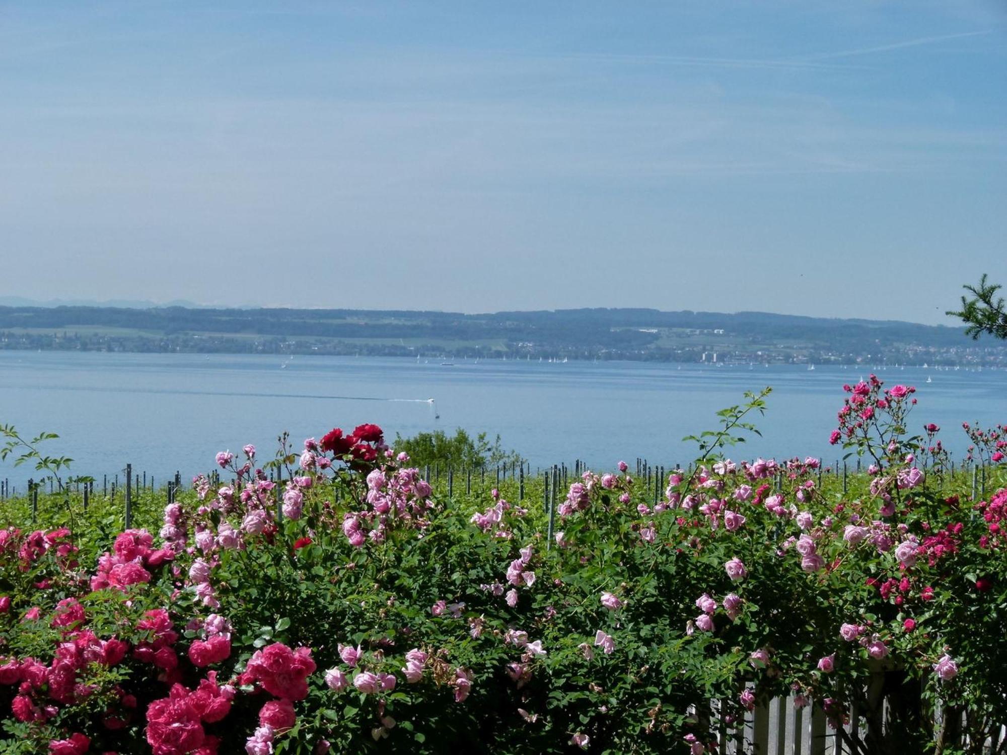 Abc Ferienwohnungen Abc Wohnung C Meersburg Buitenkant foto